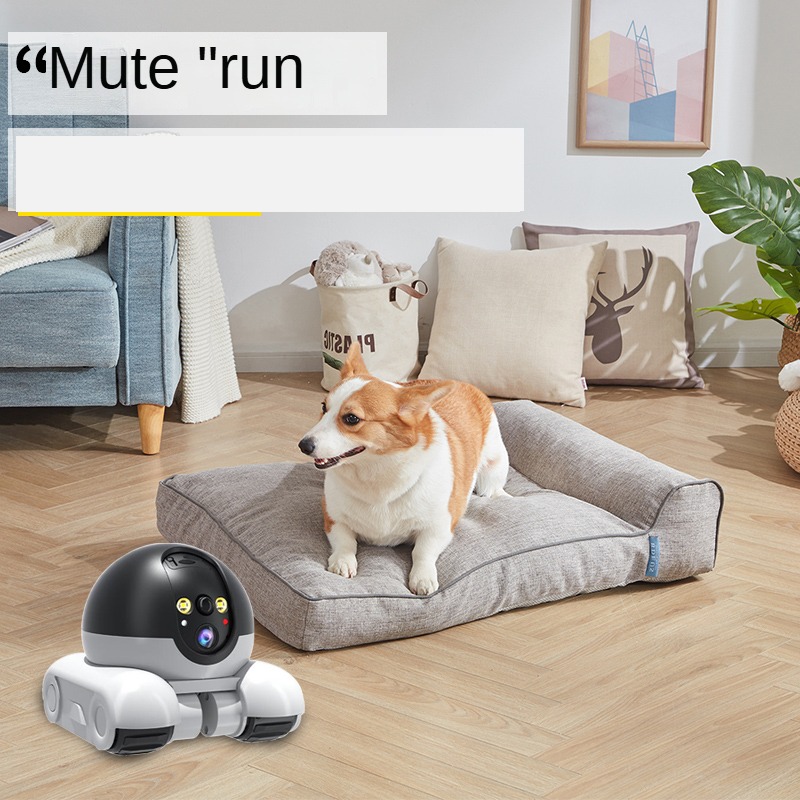 New 1080P HD WIFI Camera PTZ I - огляд і ціна Home Security Robots