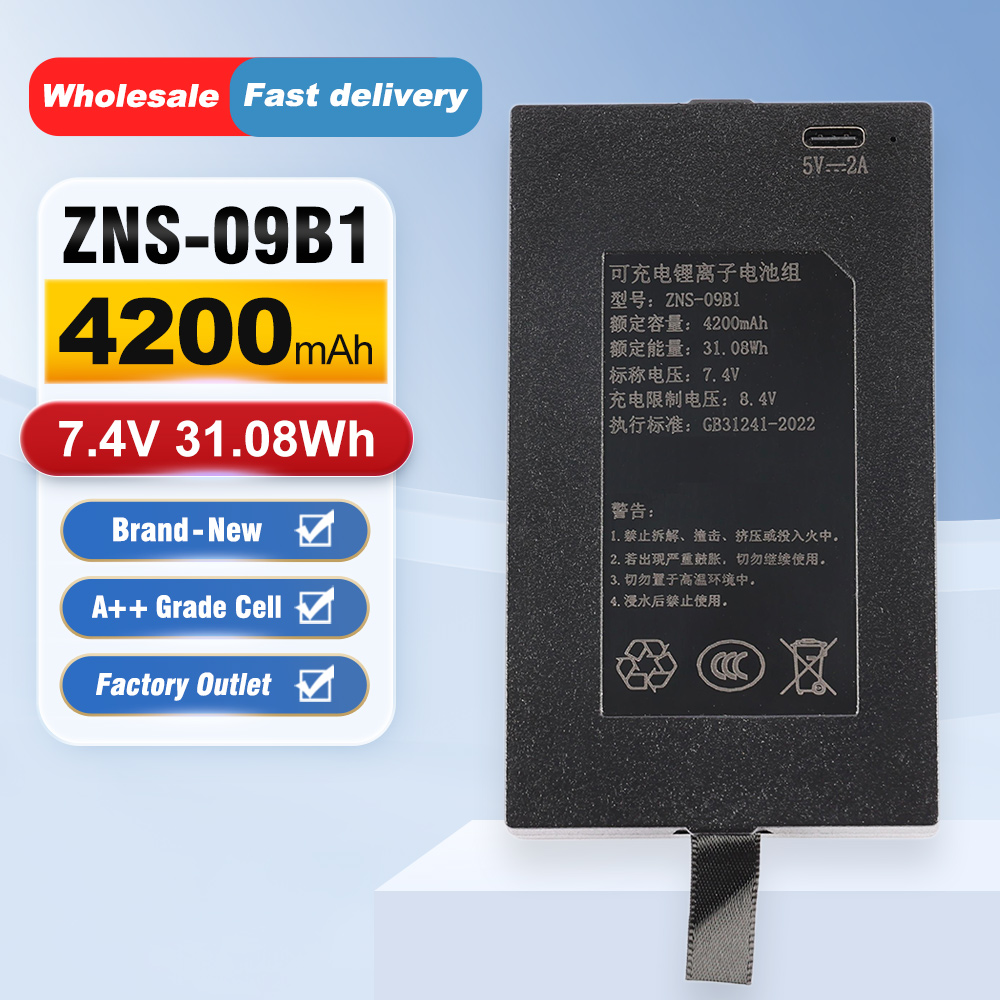 ZNS-09B1 4200mAh C+C- P-P+ Rep - огляд і ціна Home Security Battery Replacement